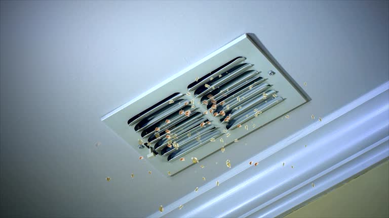 Best HVAC Air Duct Cleaning  in Manche Village, CA