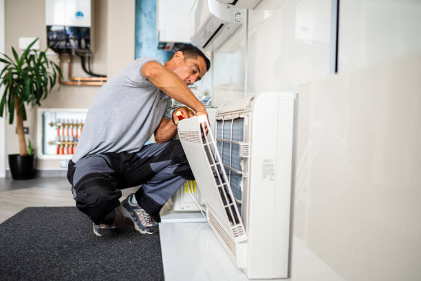 Best Emergency Air Duct Cleaning  in Manche Village, CA