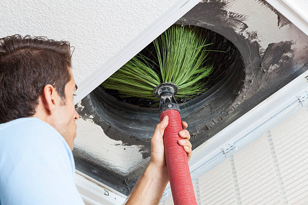 Air Duct Mold Removal in Camanche Village, CA